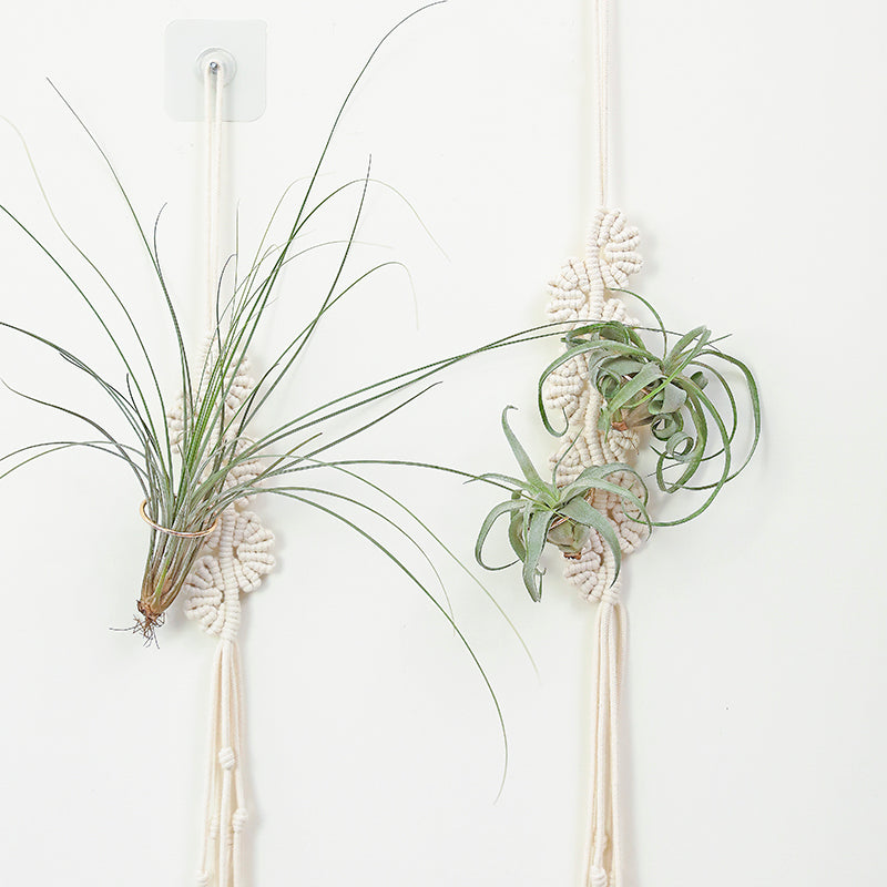 3MM MACRAME BRAIDED - CORED - NATURAL